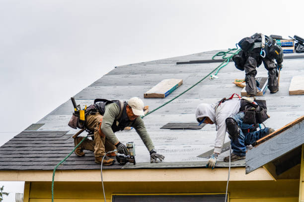 Professional Gutter Installation technician working in Searchlight, NV